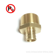 NSF Lead Free Brass Pex Coupling